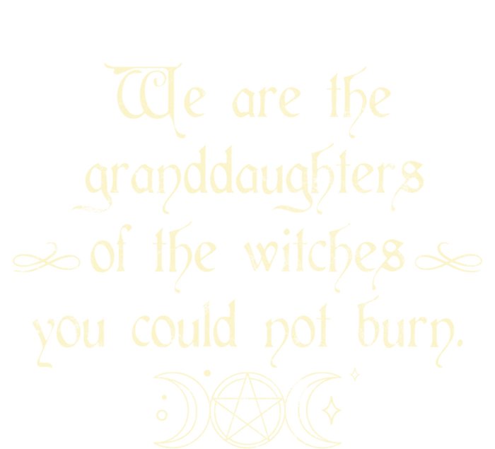 We Are The Granddaughters Of The Witches Funny Gift Women's V-Neck T-Shirt