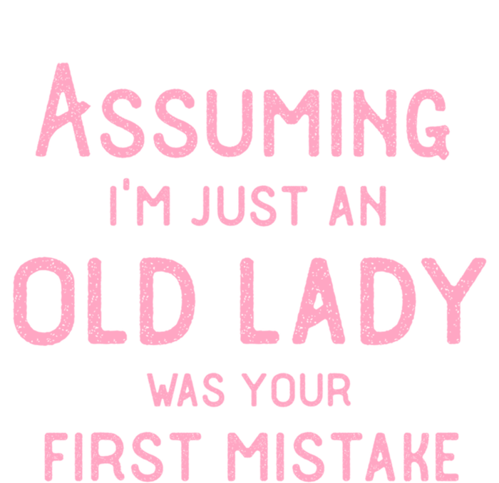 Assuming Im Just An Old Lady Was Your First Mistake Funny Gift T-Shirt