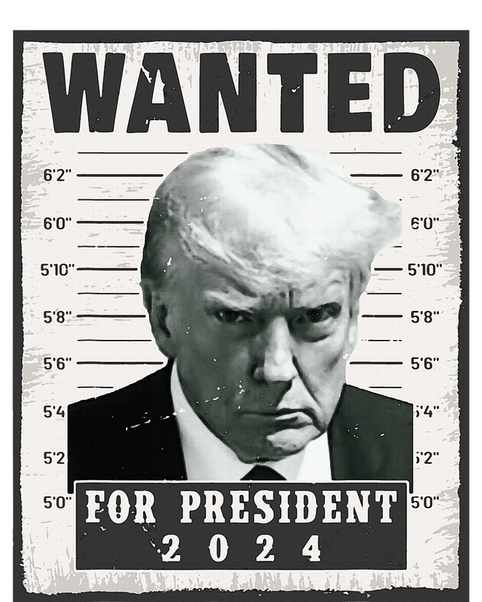 Wanted Donald Trump For President 2024 Trump Mug Shot T-Shirt