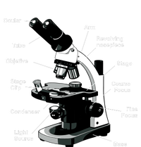 Parts Of A Microscope T-Shirt