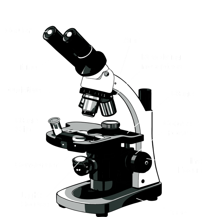 Parts Of A Microscope T-Shirt