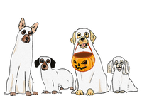 Dogs Wearing Ghost Costume Funny Dog Halloween Funny Funny T-Shirt