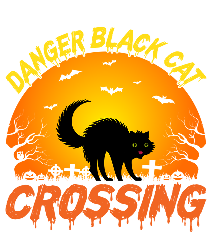 Danger Black Cat Crossing Halloween Costume Cute Gift Toddler Hoodie