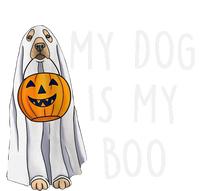 My Dog Is My Boo Halloween Funny Dog Owner Ghost Lover Gift Sustainable Knit Beanie