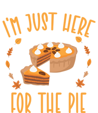 Im Just Here For The Pie Funny Thanksgiving Pumpkin Pie Gift Valucap Bio-Washed Visor