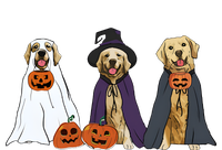 Golden Dog Retriever Ghost Dogs Halloween Women's T-Shirt