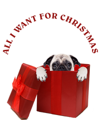 All I Want For Christmas Pug Gift T-Shirt