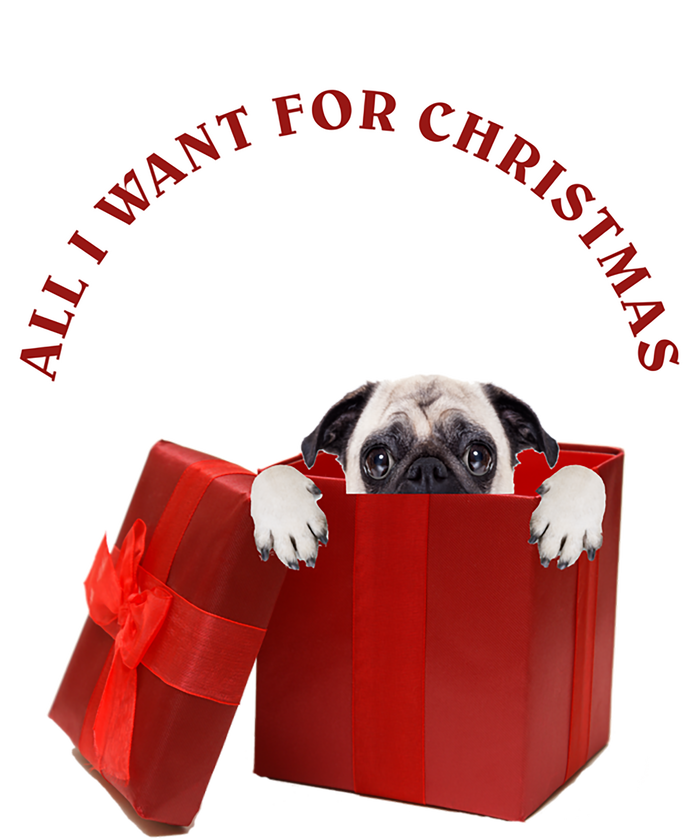 All I Want For Christmas Pug Gift T-Shirt