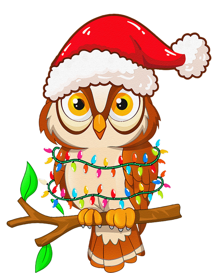 Christmas Lights Owl Wearing Xmas Hat Cute Owl Lover Hoodie