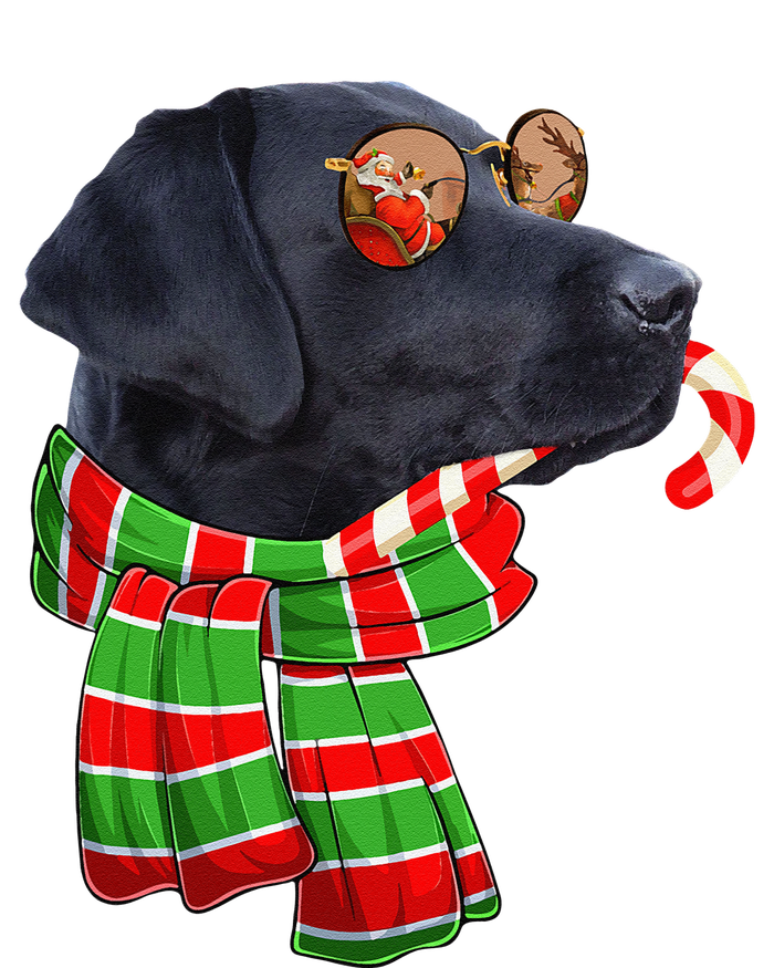 Black Lab Labrador Dog Owners Christmas Xmas Holiday Party 16 in Basic Backpack