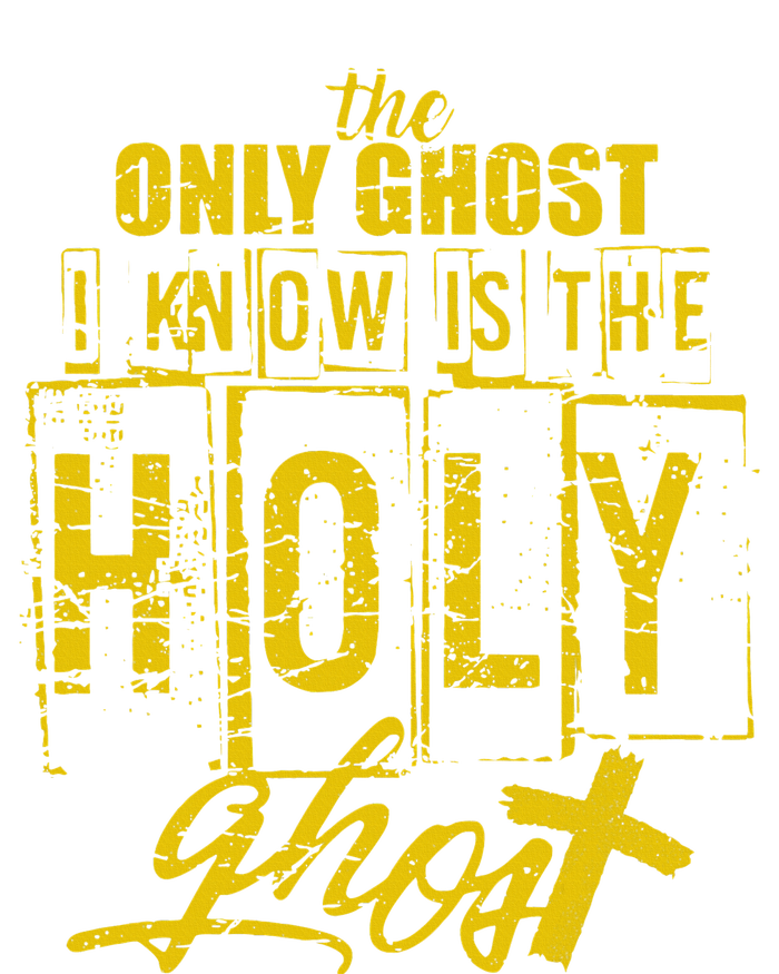 The Only Ghost I Know is The Holy Ghost Halloween Costume T-Shirt