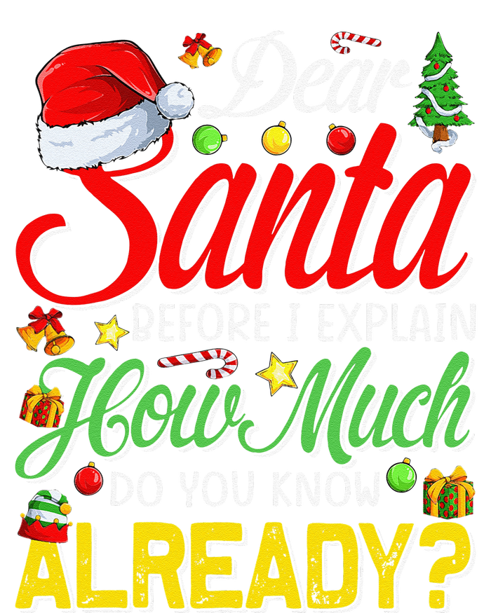 Dear Santa Before I Explain How Much Do You Know Already T-Shirt