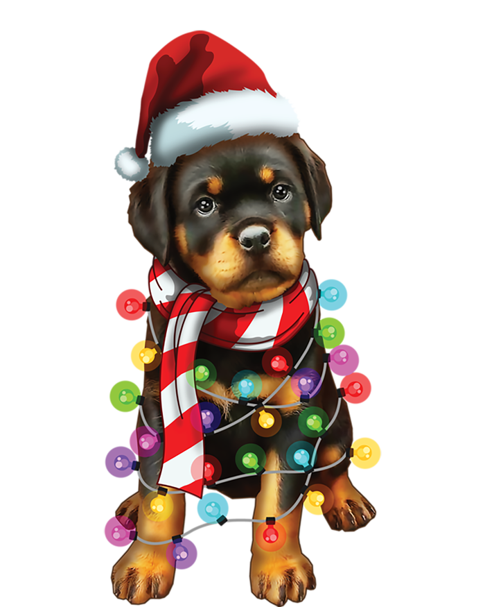 Christmas Santa Dog Rottweiler Dog Lover Xmas Gift Sustainable Knit Beanie