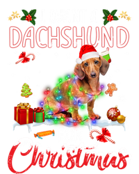 I Want A Dachshund For Christmas Xmas Lights Santa Dachshund Gift Kids Hoodie