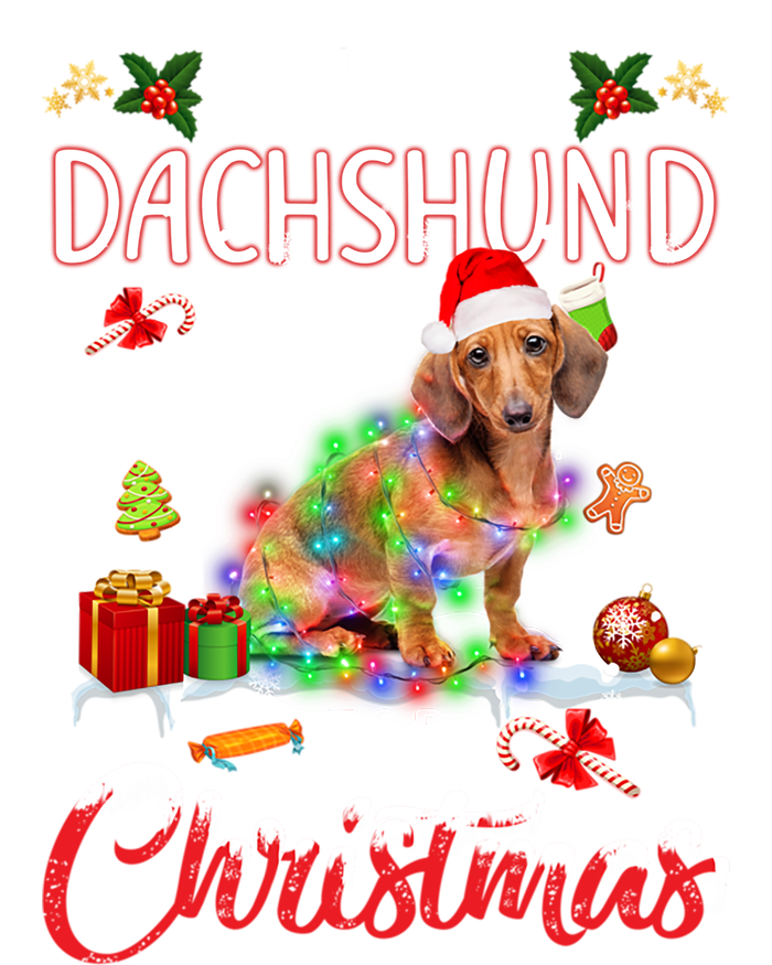 I Want A Dachshund For Christmas Xmas Lights Santa Dachshund Gift Kids Hoodie