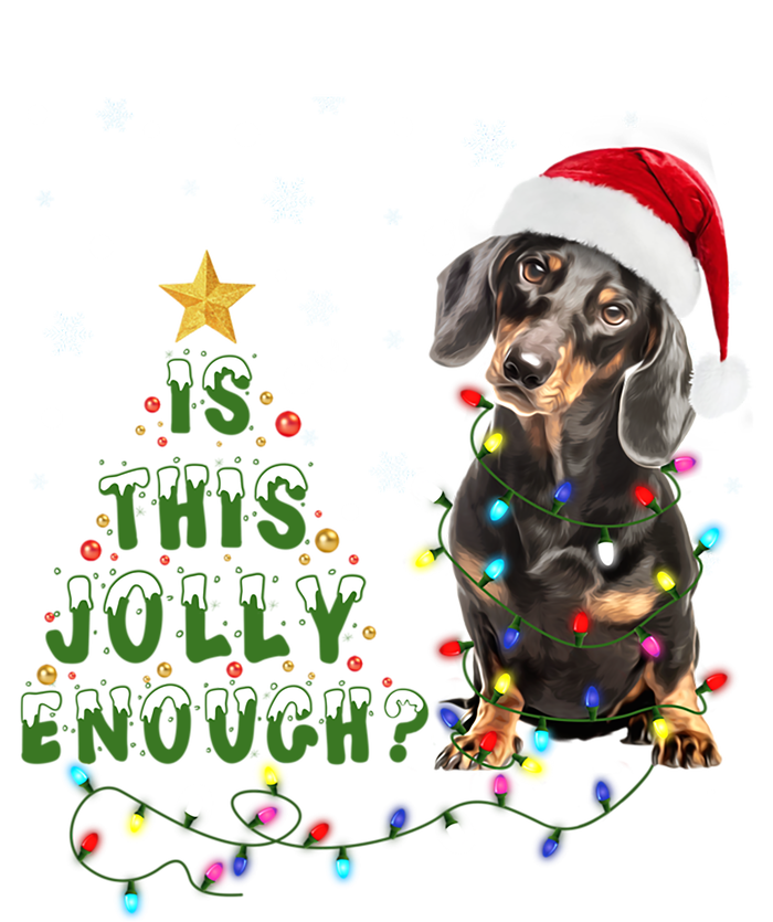 Is This Jolly Enough Santa Dachshund Light Christmas Gift Pom Pom 12in Knit Beanie