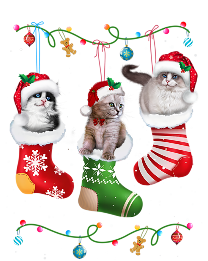 Festive Feline Friends Cats In Christmas Sock Pajama Set Gift Kids Long Sleeve Shirt