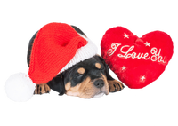 Rottweiler Puppy Santa Image Christmas Red Heart I Love You Gift Long Sleeve Shirt