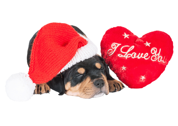 Rottweiler Puppy Santa Image Christmas Red Heart I Love You Gift Long Sleeve Shirt