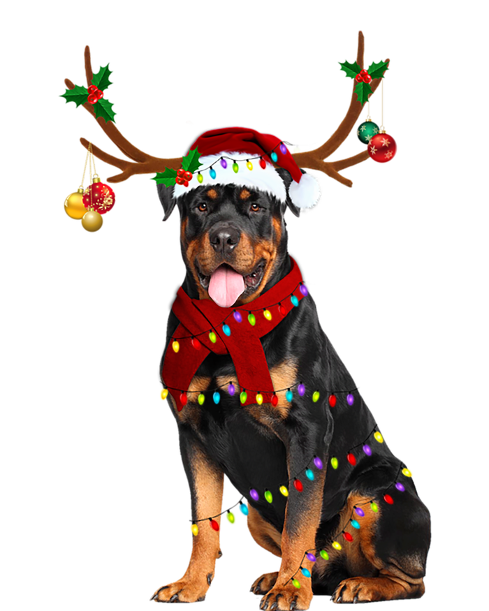 Santa Rottweiler Reindeer Light Christmas Funny Gift T-Shirt