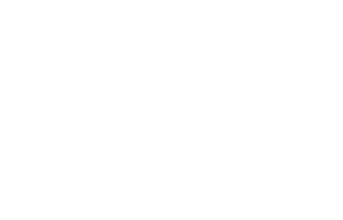 I Have Standards A Funny Standard Poodle Graphic Gift T-Shirt