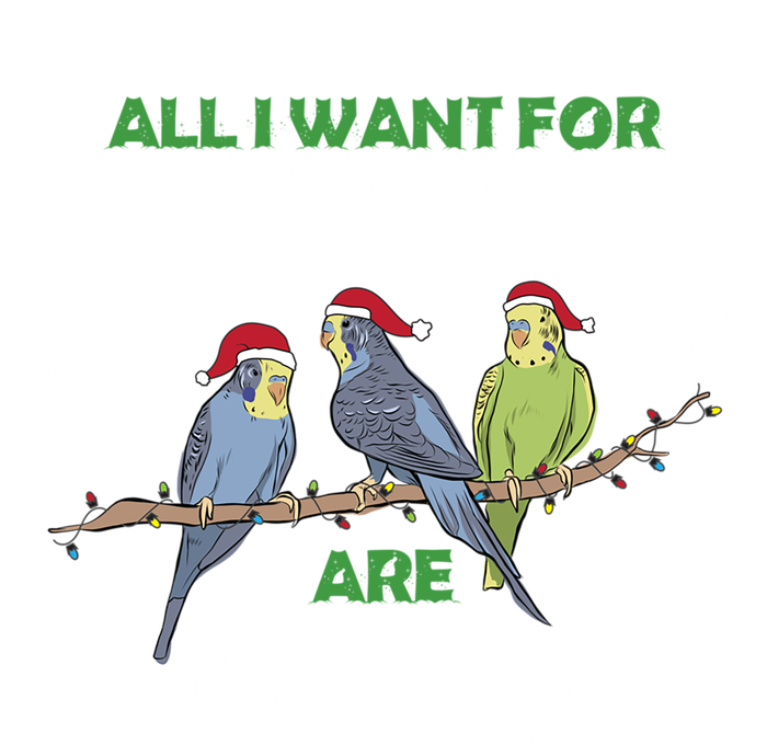 I Want Budgies For Christmas Cute Gift Kids Hoodie