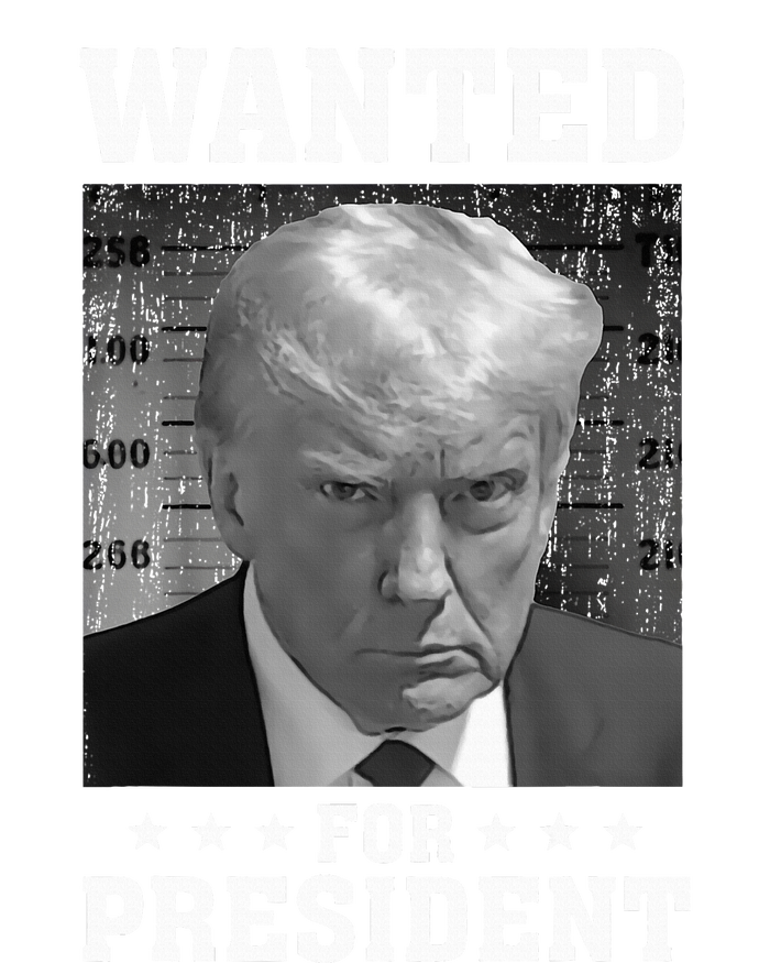 Wanted Donald Trump For President 2024 USA Flag T-Shirt