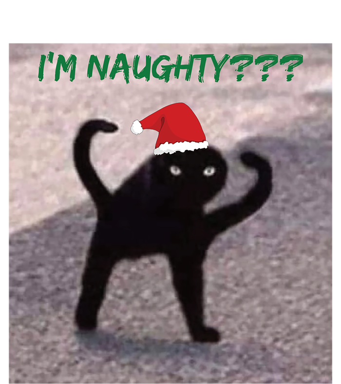 Cursed Cat Angry Meme Im Naughty? Christmas Gift T-Shirt