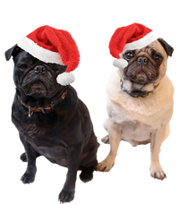 Cute Pugs Santa Hats Funny Dog Portrait Image Christmas Pug Gift Striped Beanie with Solid Band