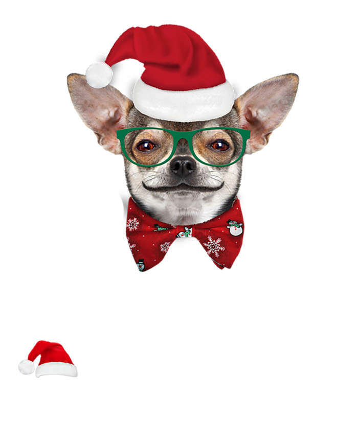 Be Nice To Me I Know Santa Chihuahua Dog Christmas Xmas Funny Gift Hoodie