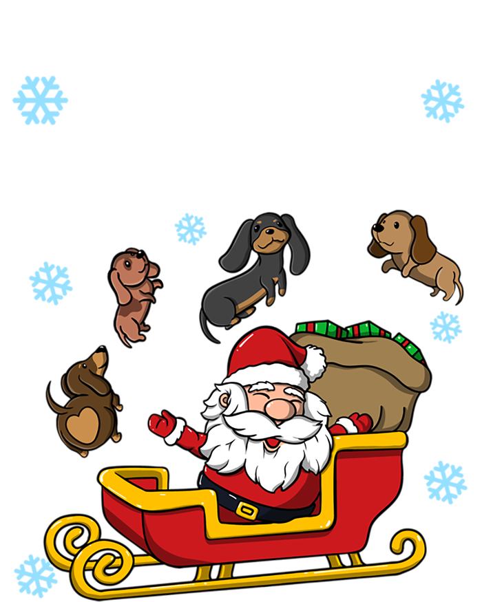 Wiener Dogs For Everybody Santa Funny Christmas Dachshund Meaningful Gift T-Shirt