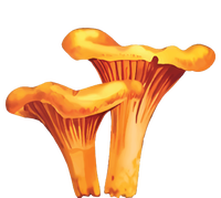 Chanterelle Mushroom T-Shirt