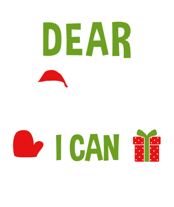 Dear Santa I Can Explain Cool Gift Hoodie