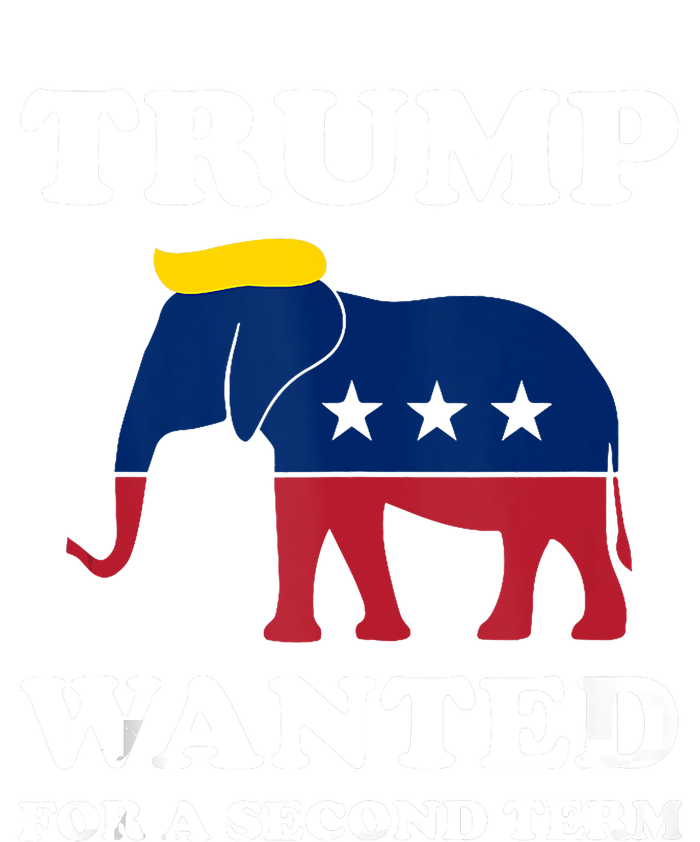 Trump Wanted For Second Term 2024 Pro Trump 2024 Election Tall Long Sleeve T-Shirt