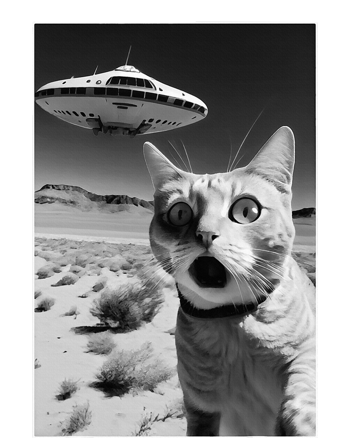 A cat taking a selfie with a ufo spaceship funny pun meme Striped Beanie with Solid Band