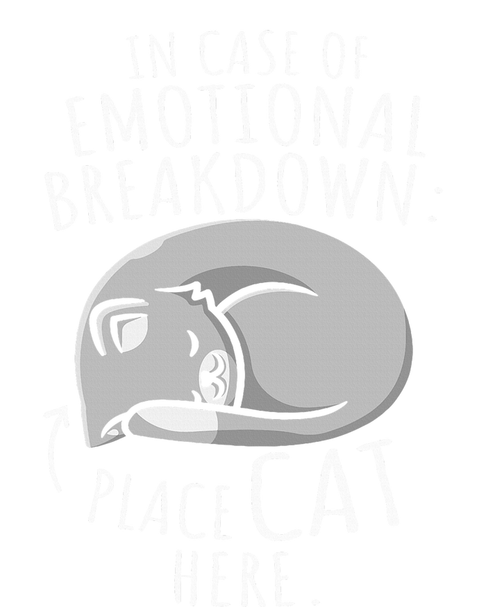 Cats Lover In Case Of Emotional Breakdown Place Cat Here Womens Funnel Neck Pullover Hood