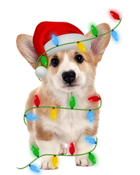 Xmas Lights Holiday Santa Cardigan Welsh Corgi Dog Christmas Gift Magnet