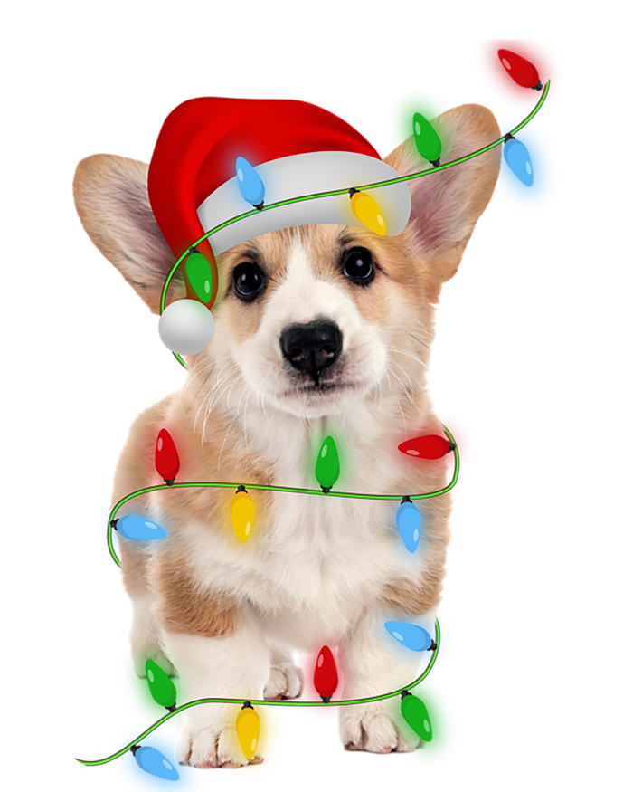 Xmas Lights Holiday Santa Cardigan Welsh Corgi Dog Christmas Gift Magnet