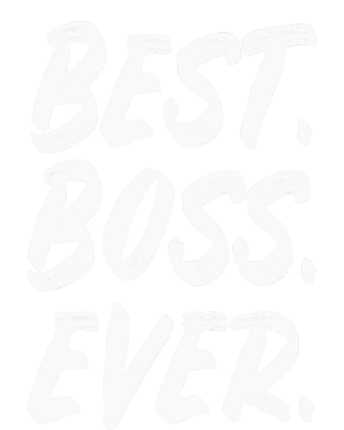 Boss Day Employee Appreciation Office Gift |S & Wo Premium T-Shirt