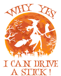 Halloween Witch Funny Gift Why Yes Actually I Can Drive A Stick Funny Gift Women's Flannel Pajama Set