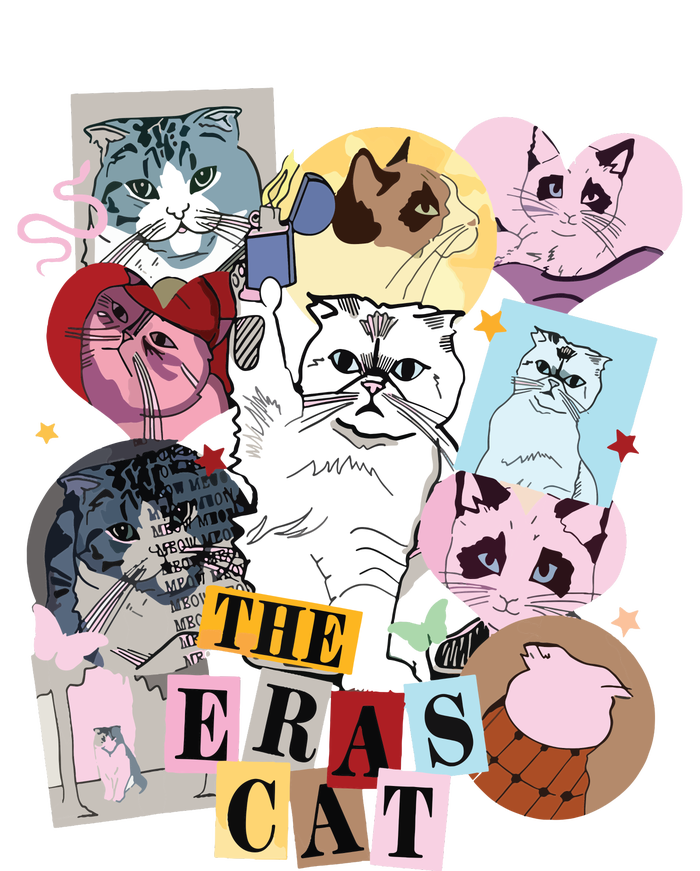 The Cat Eras In My Cat Mom Era Cat Lover T-Shirt