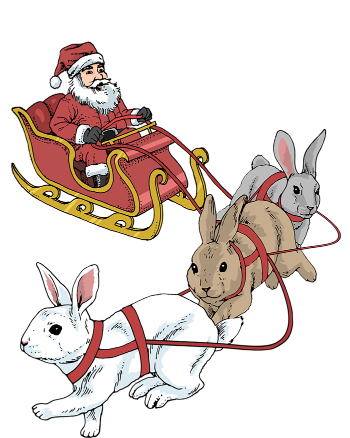 Rabbit Christmas Cool Gift T-Shirt