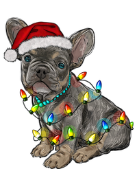 French Bulldog Frenchie Christmas Lights Cute Gift Striped Beanie with Solid Band