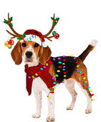 Santa Beagle Reindeer Light Christmas Funny Gift Tall T-Shirt