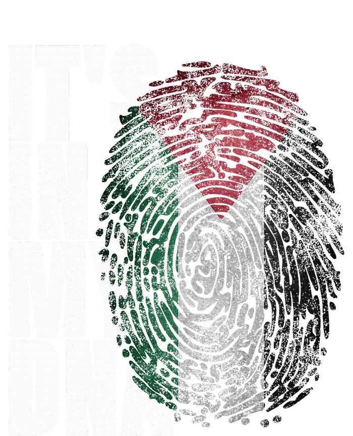 It In My Dna Palestinian Arabic Gifts Palestine Flag T-Shirt