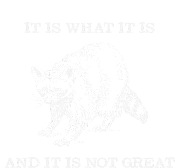 It Is What It Is And It Is Not Great Funny Raccoon Meme Metallic Star Ornament