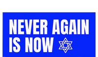 Never Again Is Now Jewish Israel Pride Am Yisrael Chai Premium Hoodie