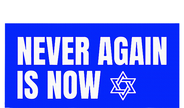 Never Again Is Now Jewish Israel Pride Am Yisrael Chai Premium Hoodie