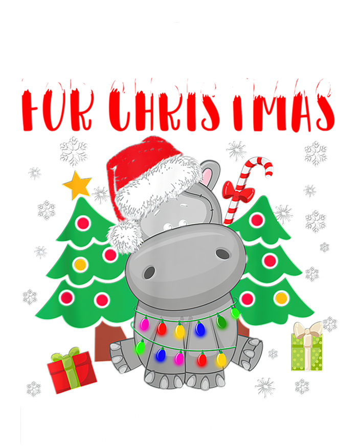 All I Want For Christmas Is A Hippopotamus Buffalo Plaid Gift T-Shirt