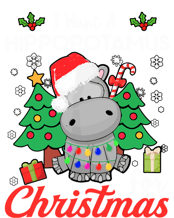 I Want A Hippopotamus For Christmas Funny Hippo Gift Striped Beanie with Solid Band